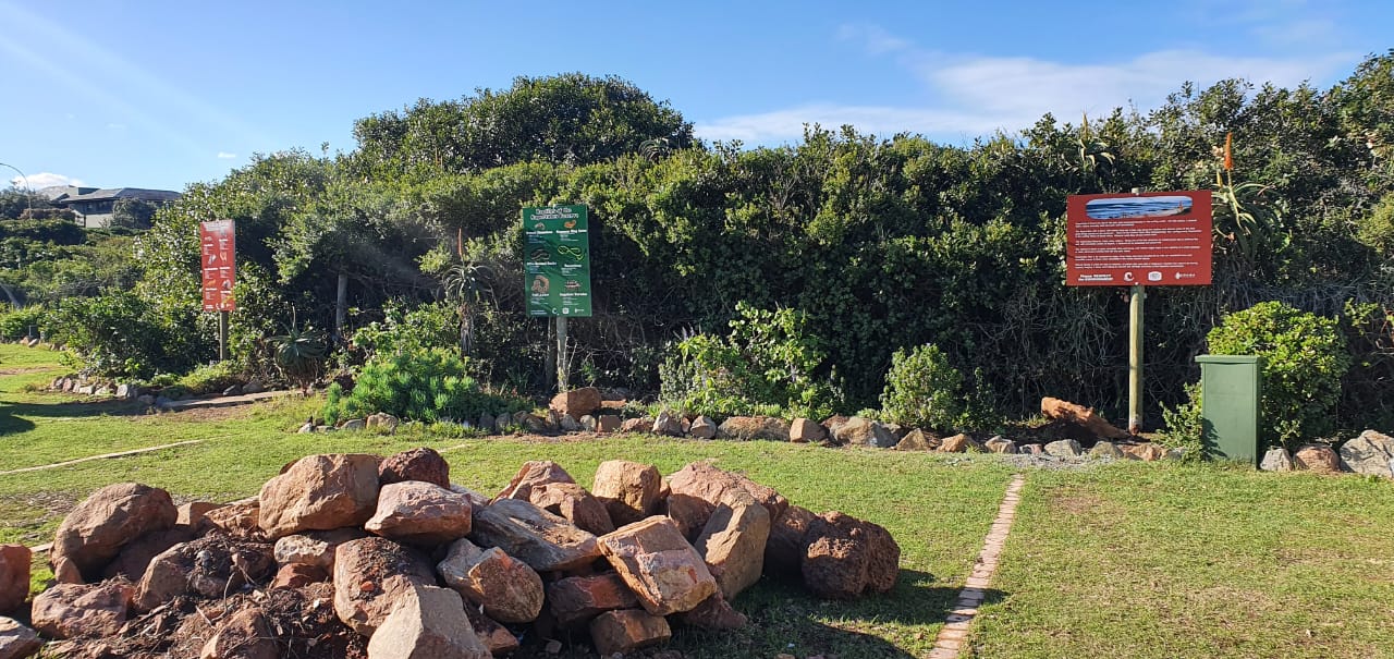 WhatsApp Image 2023-05-26 at 14.46.35