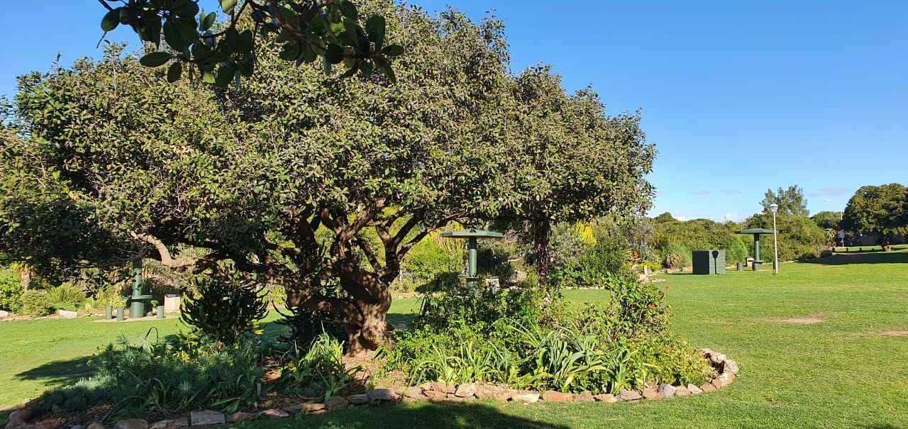 WhatsApp Image 2023-05-26 at 14.46.36